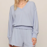 Z Supply The Everyday V Neck in Skyline