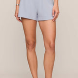 Z Supply The Everyday Short in Skyline