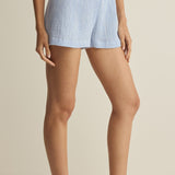 Z Supply Classic Gingham Short in Ice Blue