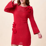 Cleobella Honey Sweater Mini Dress in Goji Berry