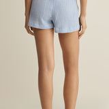 Z Supply Classic Gingham Short in Ice Blue
